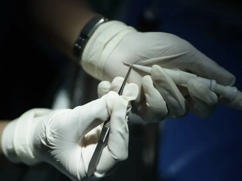 Work Experience of Dr.Diwaker Sharma