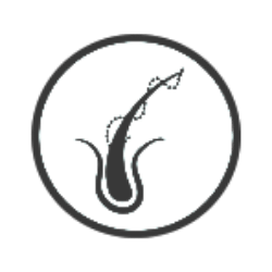 REJUVENATES-HAIR-FOLLICLE